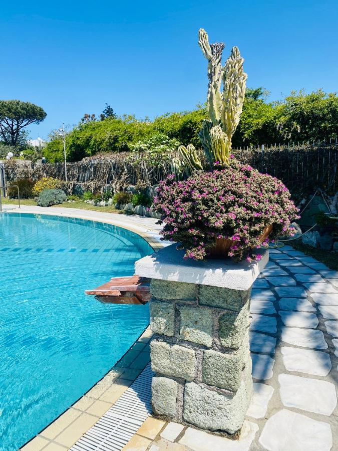 Ideal Hotel 3*