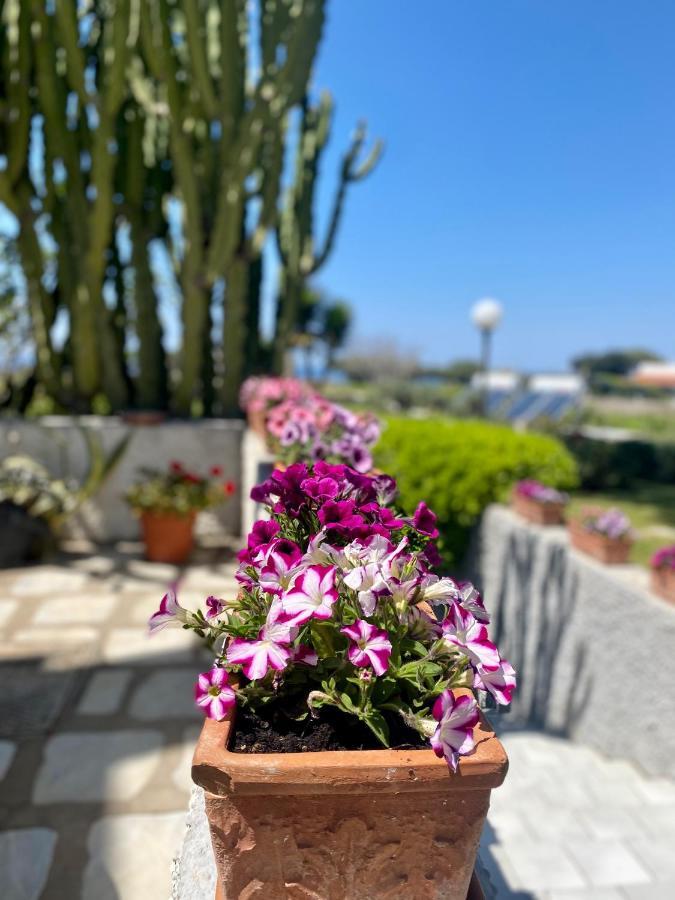 Ideal Hotel Forio di Ischia